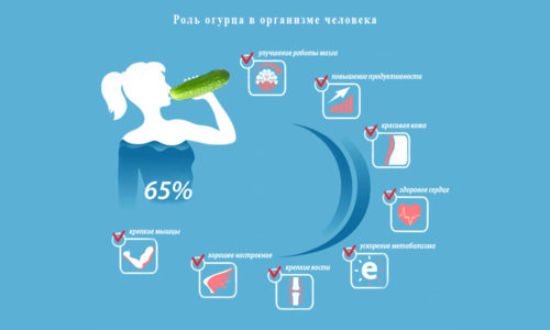 Применение лечебных средств на основе огурца при образовании геморроидальных узлов оказывает положительное воздействие на организм