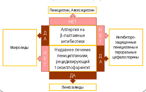 Алгоритм выбора антибиотиков при ангине