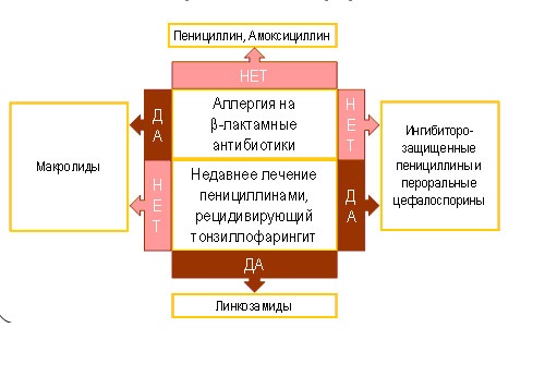 Алгоритм выбора антибиотиков при ангине