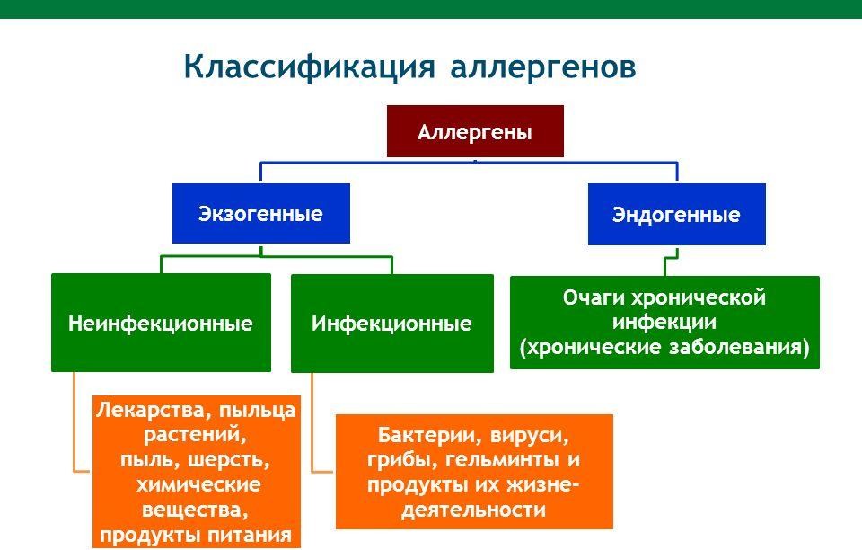 Классафикация аллергенов