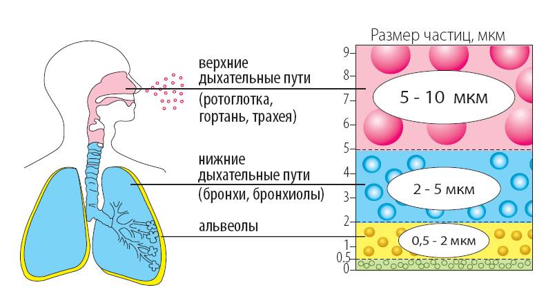 Принцип работы ингалятора при аллергической астме