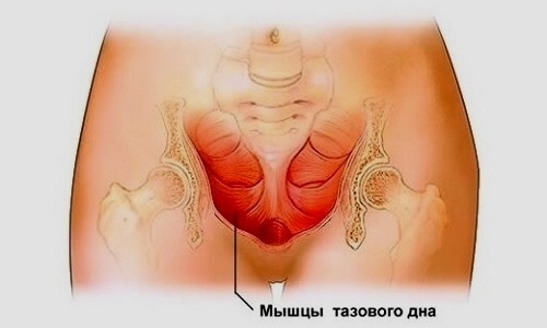 На второй стадии геморроя наблюдается периодическое выпадение узелков во время дефекации. Шишка вправляется с помощью тазовых мышц