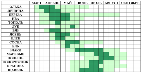 Таблица цветения растений и деревьев