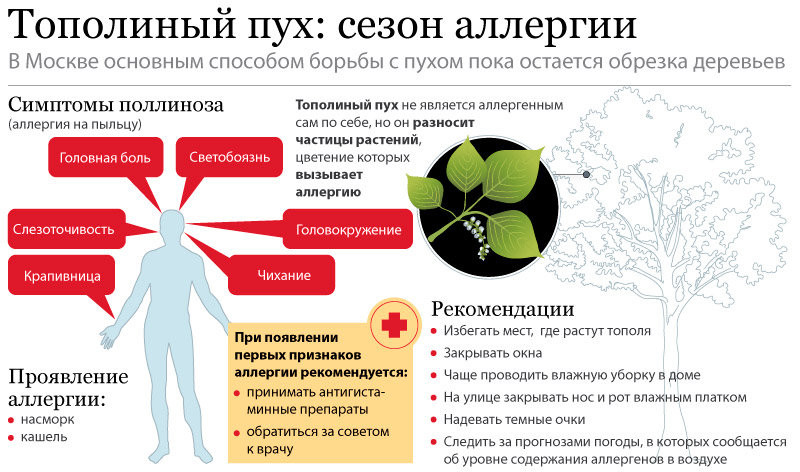 Рекомендации при аллергии на тополиный пух