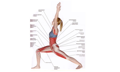 Вирабхадрасана это базовое для йоги положение называется также позой Воина